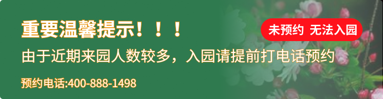 八宝山革命公墓